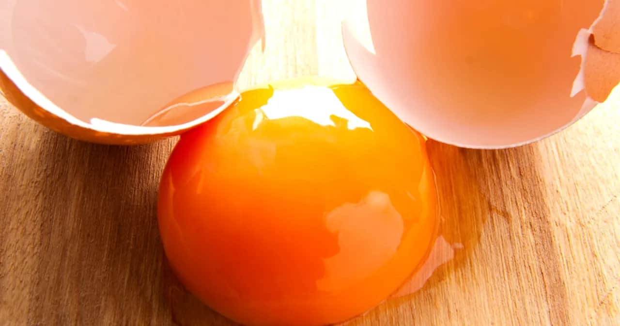 Jak uniknąć salmonelli? Skuteczne sposoby na bezpieczne jedzenie