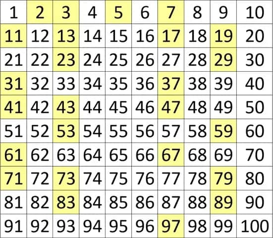 Zagadka liczb pierwszych: co sprawia, że są tak niezwykłe w matematyce?