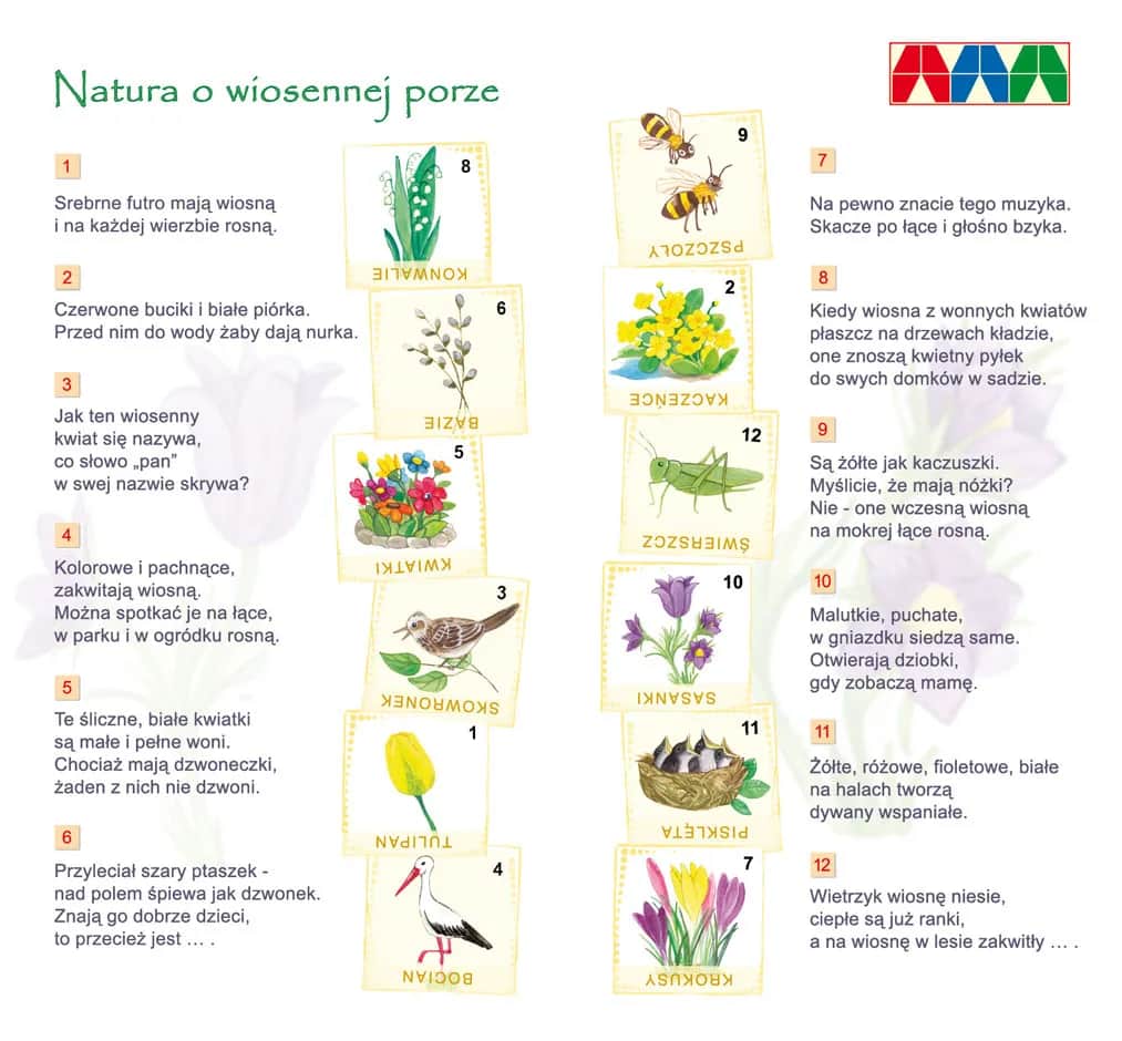 Zagadka jeż – fascynujące fakty, zagadki i ich rola w ekosystemie