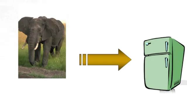 Poznaj rozwiązanie zagadki jak włożyć słonia do lodówki i rozbaw znajomych