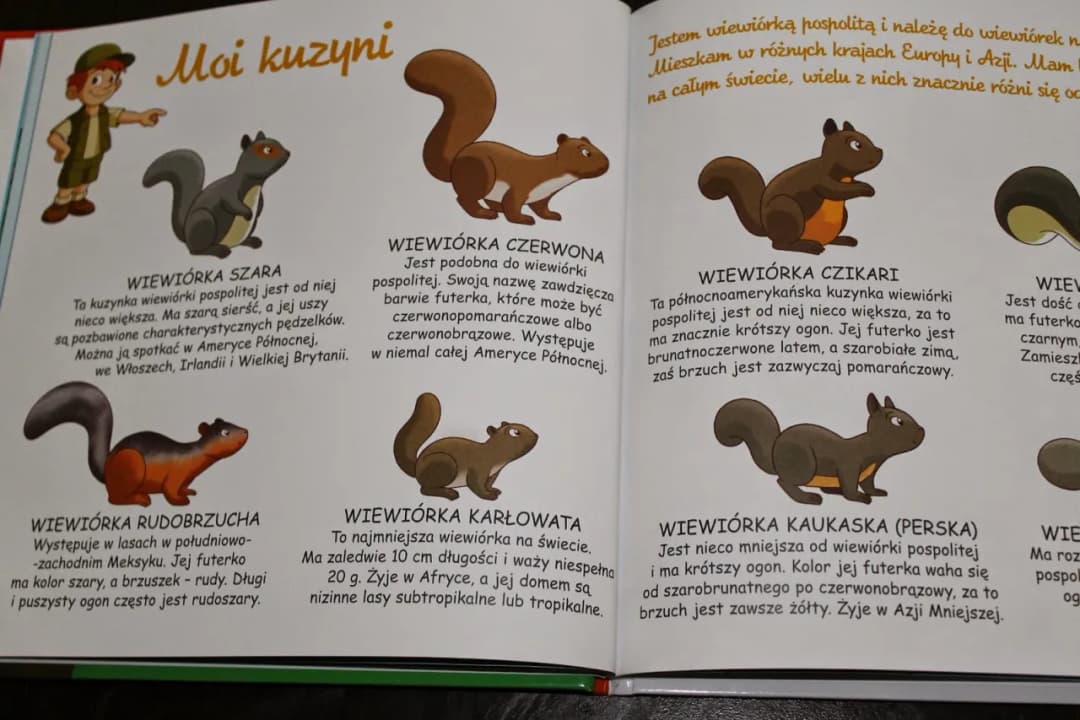 Zagadka o wiewiórce: zabawne łamigłówki, które zachwycą dzieci
