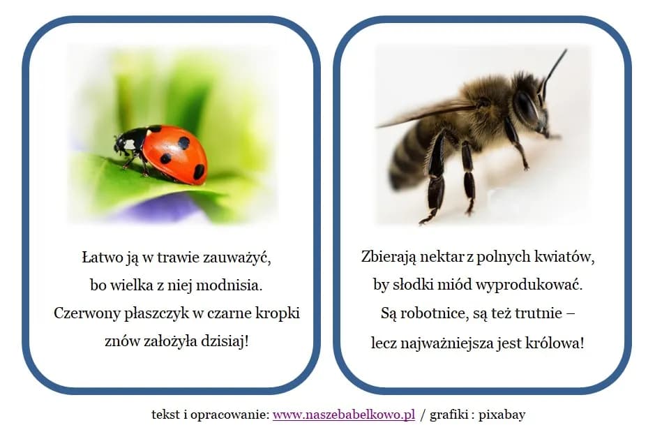 Zagadki o łące: kreatywne sposoby na naukę i zabawę dla dzieci