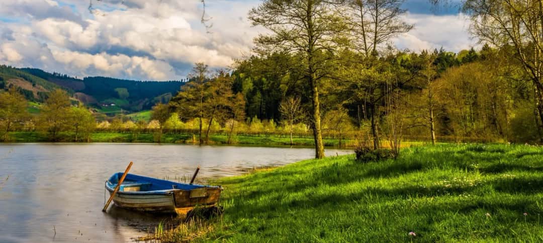 Gdzie na ryby koło Wrocławia? Odkryj najlepsze łowiska i gatunki ryb