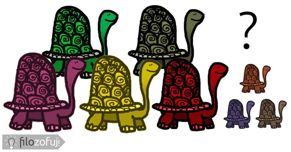 Zagadka o żółwiu: zmierz się z tą logiczną łamigłówką i sprawdź siebie